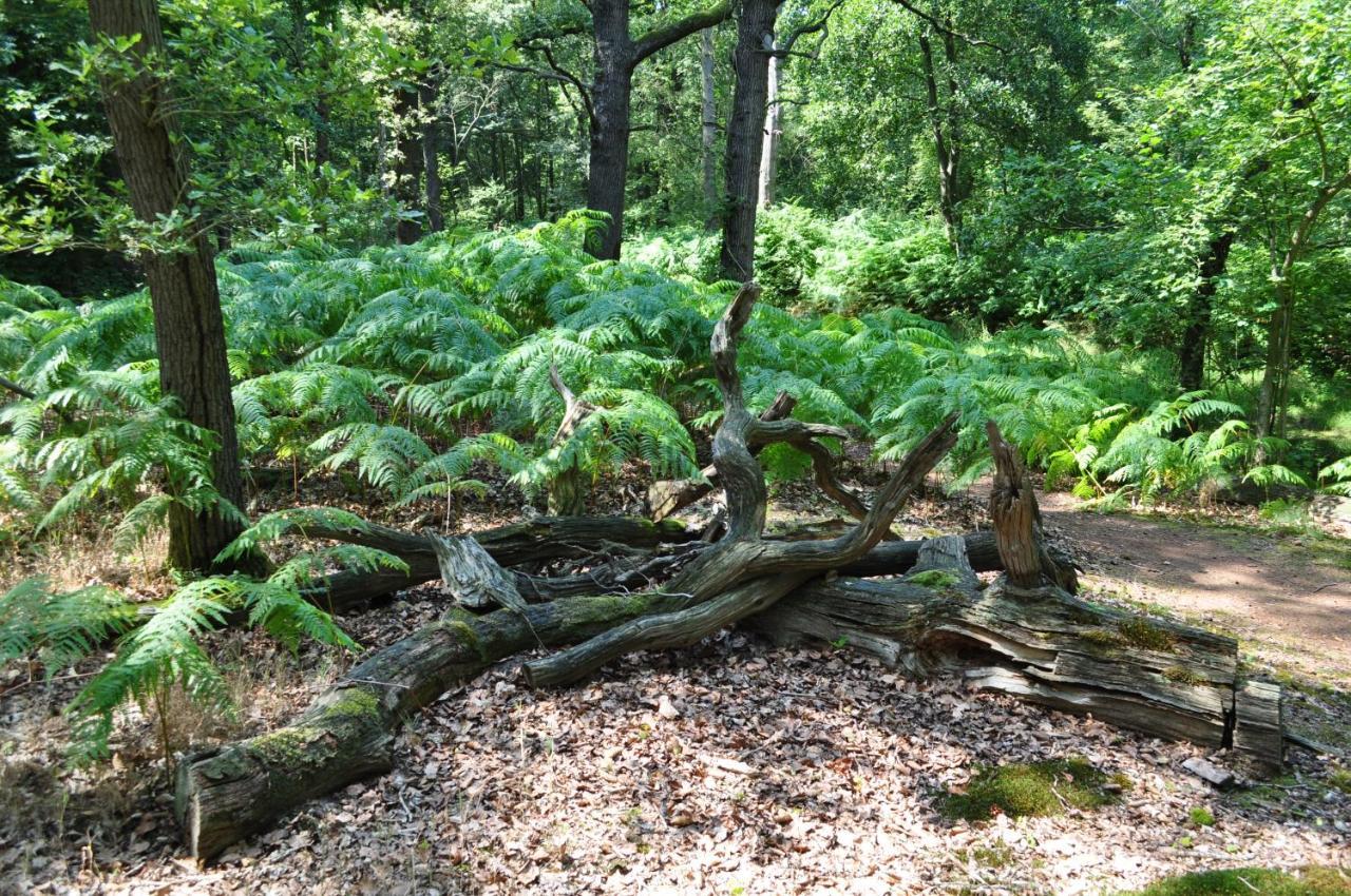 VogelenzangGasterij Leyduin别墅 外观 照片